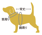 犬のサイズ測り方