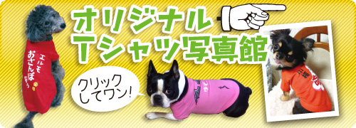 ひだT.comのオリジナル犬用Tシャツ